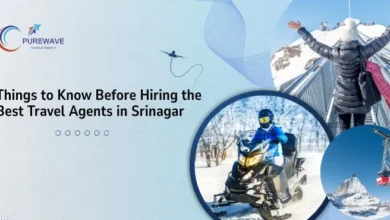 Best Travel Agents in Srinagar