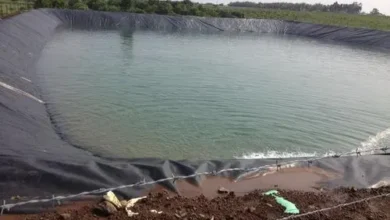 Liner for Agriculture Pond