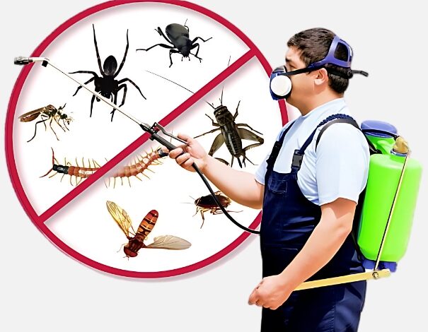 Pest Control Services in Jaipur
