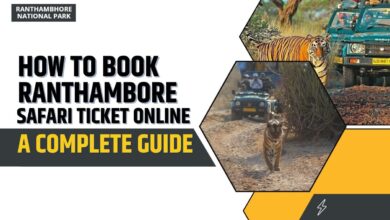 How to book ranthambore safari ticket online