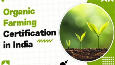 Organic Certification in India