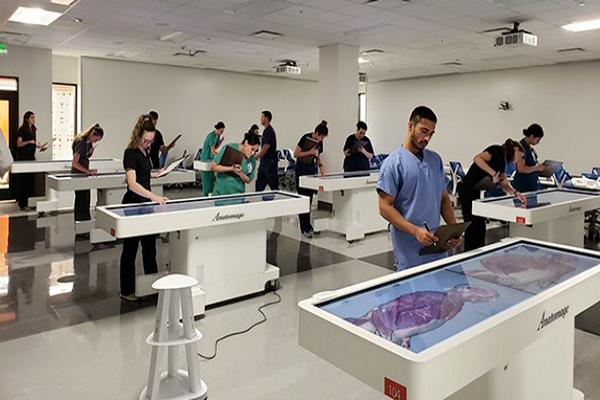 Virtual Dissection Table