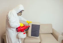 Best Home Pest Control in Jaipur