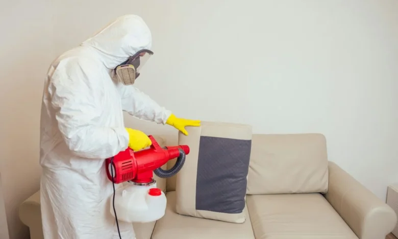 Best Home Pest Control in Jaipur