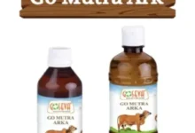 Gomutra Ark