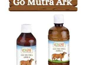 Gomutra Ark