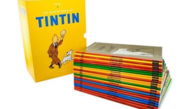 Tintin Collection Books