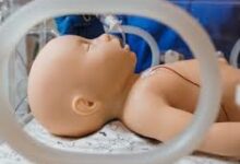 Neonatal Patient Simulator