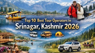 Best Tour Operator in Kashmir