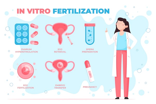 in Vitro Fertilization in India