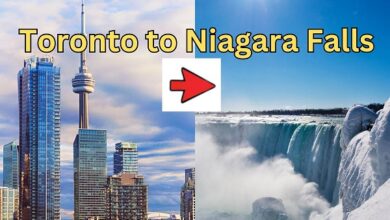 Toronto Downtown Hotel to Niagara Falls Private Transfer