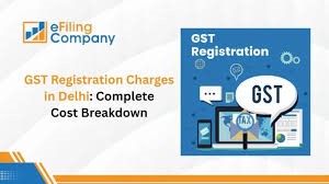 Gst Registration Fees in Delhi
