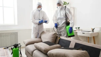 Home Pest Control in Jaipur