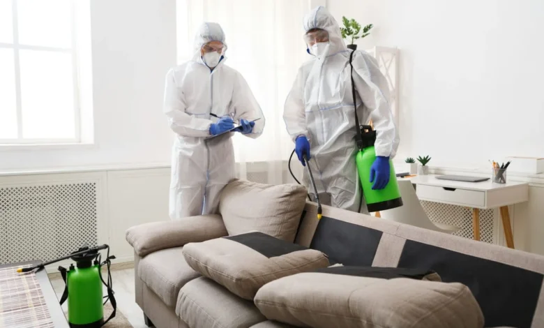 Home Pest Control in Jaipur
