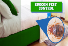 Bedbugs Pest Control in Jaipur