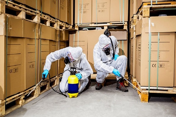 Commercial Pest Control Services in Jaipur