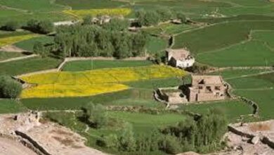 Land Conversion in Rajasthan