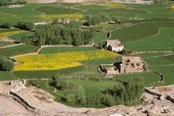 Land Conversion in Rajasthan
