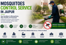 Mosquitoes Control Service in Jaipur