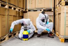 Commercial Pest Control Services in Jaipur