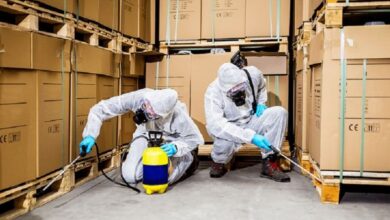 Commercial Pest Control Services in Jaipur