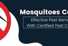 Mosquito Control in Jaipur