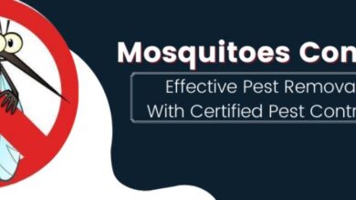 Mosquito Control in Jaipur