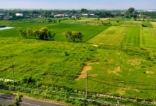 Plots in Delhi Ncr