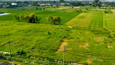 Plots in Delhi Ncr