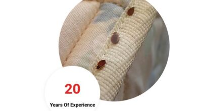 Bed Bug Control Chennai