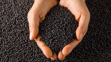 Black Masterbatches Manufacturers