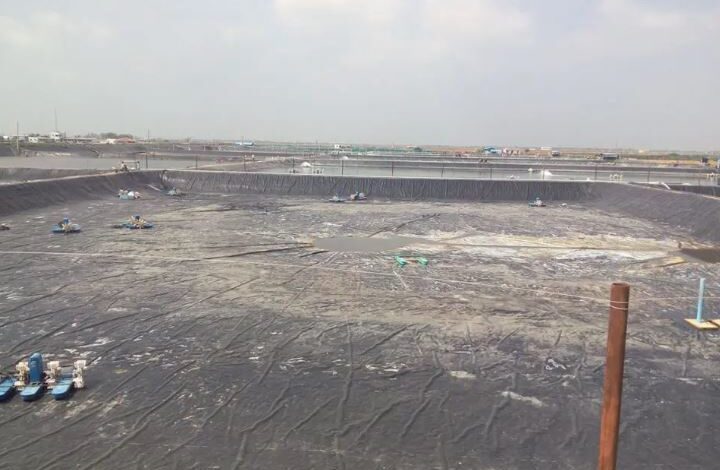Liner for Aquaculture Pond