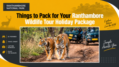 Ranthambore Tiger weekend tour