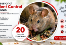 Rodent Control Chennai