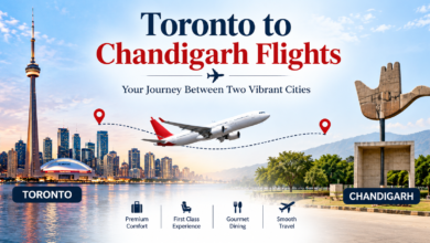 Toronto to Chandigarh Flights