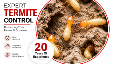 Termite Control Services Chennai