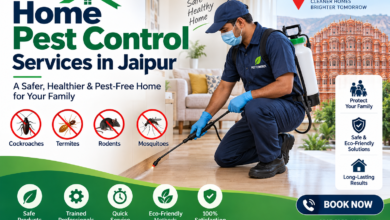 Home Pest Control Services in Jaipur