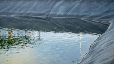 HDPE Pondliner