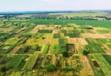 Land for sale in rajasthan