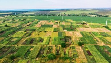Land for sale in rajasthan