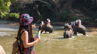 Ranthambore Tour Packages
