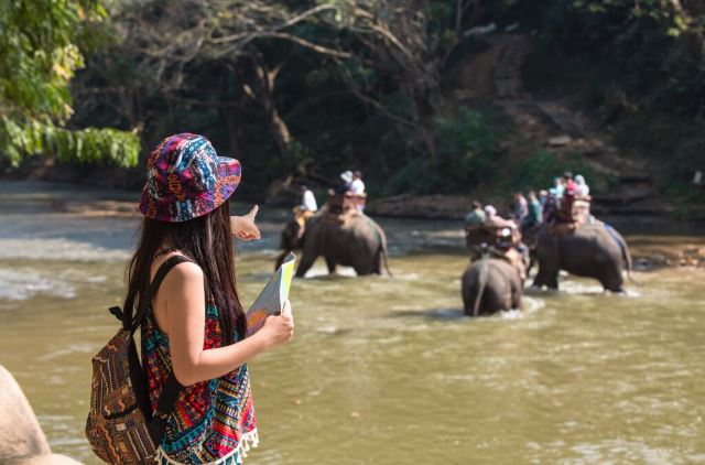 Ranthambore Tour Packages