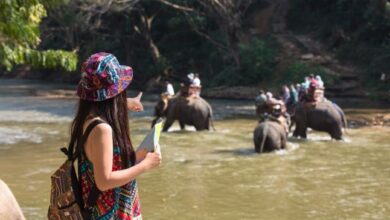 Ranthambore weekend package
