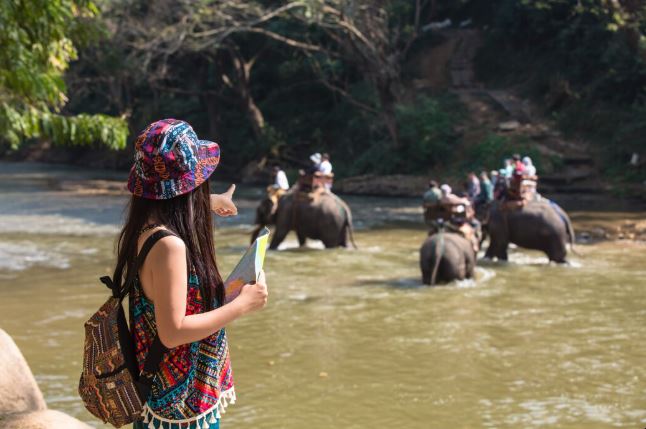 Ranthambore weekend package