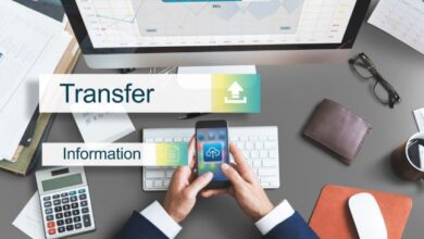 Shares Transferred to IEPF