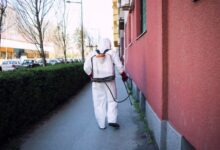 Best Pest Control for Cockroaches in Jaipur