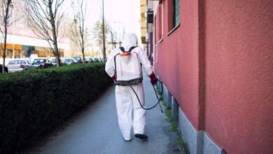 Best Pest Control for Cockroaches in Jaipur