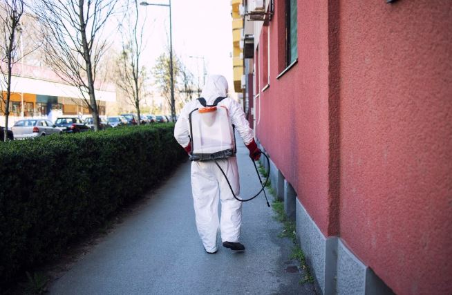 Best Pest Control for Cockroaches in Jaipur