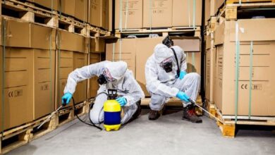 Commercial Pest Control Cost​ in Jaipur