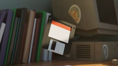 IEPF 5 Filing